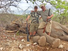 elephant hunt 2 elephant hunt 2