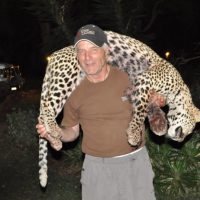 leopard 1 leopard 1